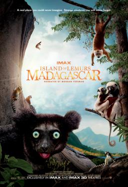 Ile de Lémuriens : Madagascar