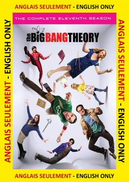 The Big Bang Theory - Season 11 ANGLAIS SEULEMENT