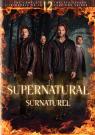 Surnaturel - Saison 12 (BIL)