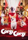 Royal Corgi